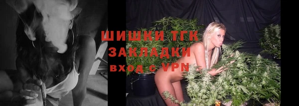 гидра Балахна