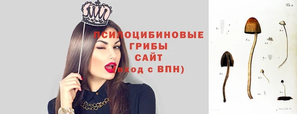 2c-b Баксан