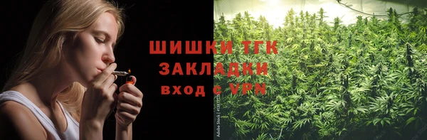 гидра Балахна